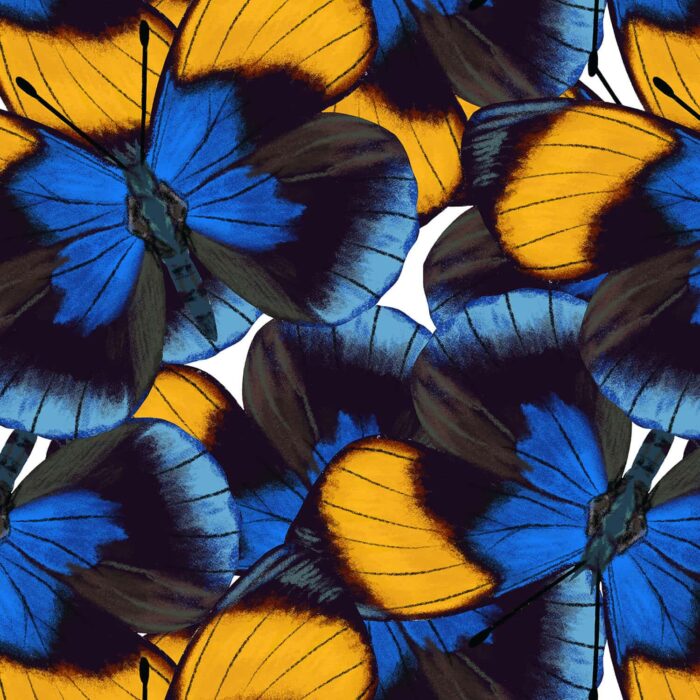 Butterfly Fabric Pattern Design