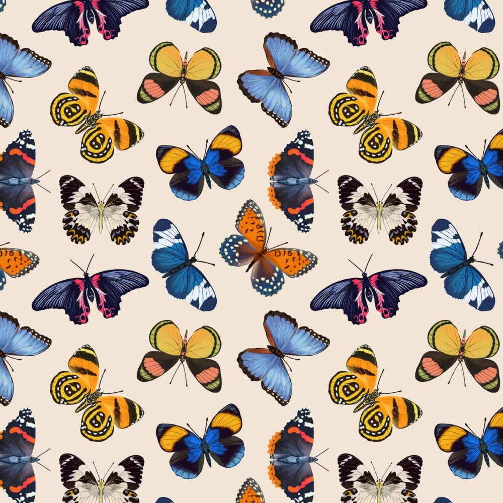 Butterfly Repeat Print