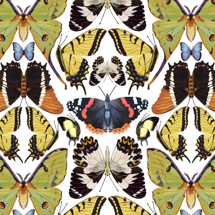 Tropical Butterfly Prints for Fabric
