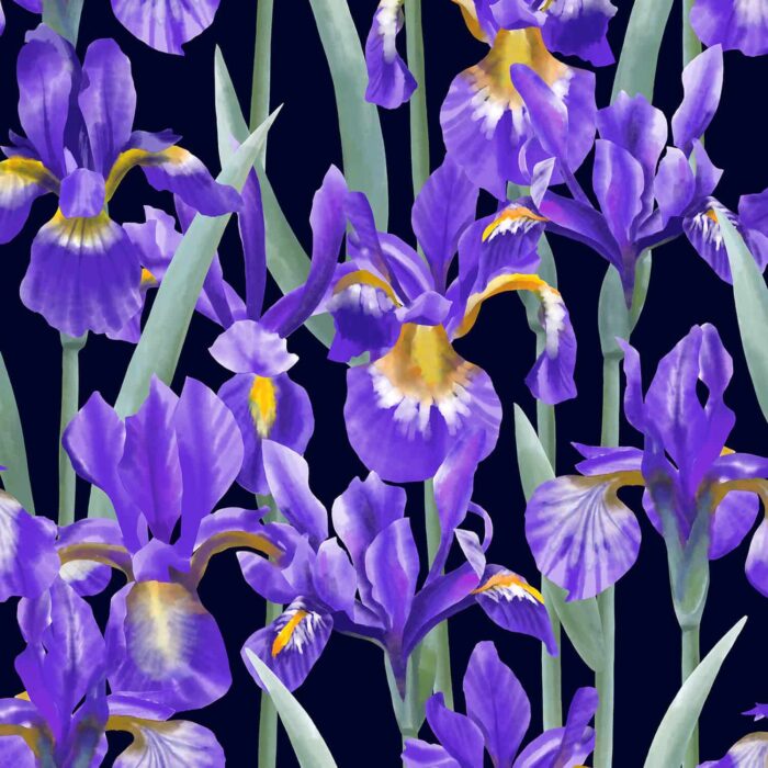 Blue Irises Pattern Design for Textiles Dark