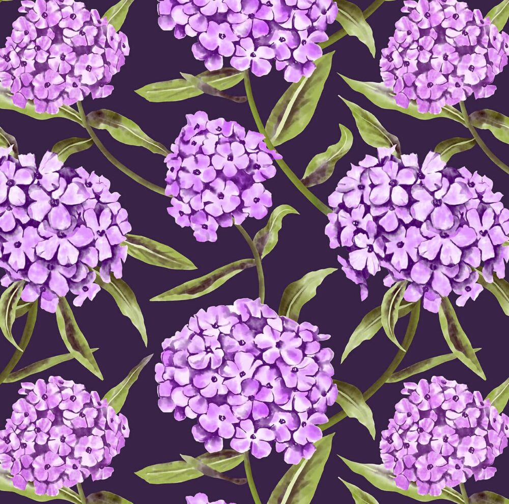 Phlox Surface Pattern