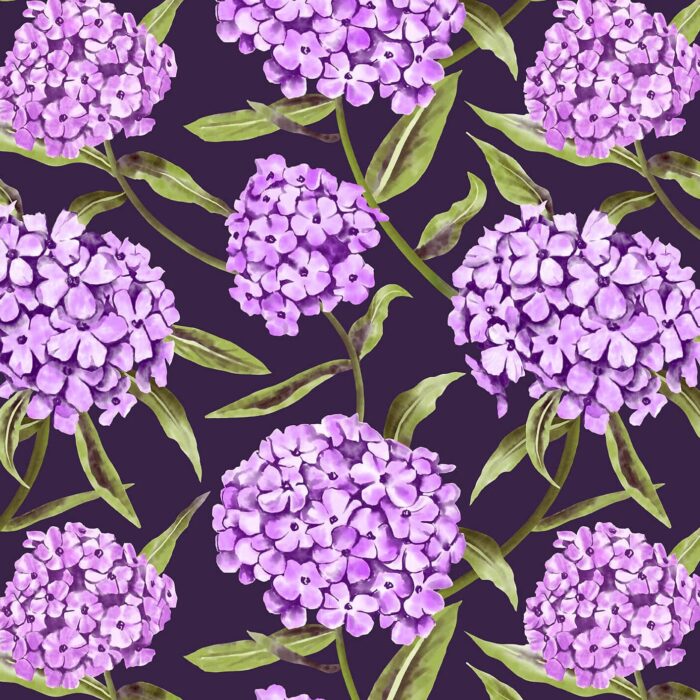 Phlox Surface Pattern