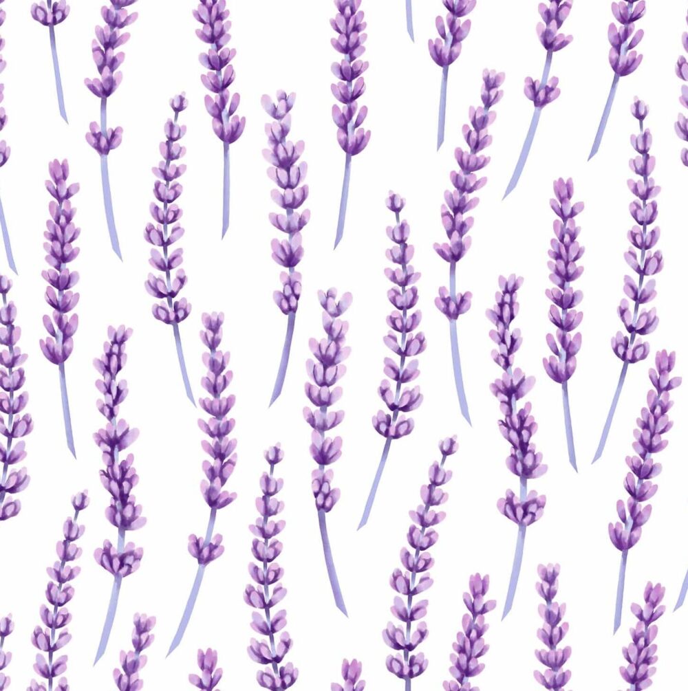 Lavender Floral Design Pattern White