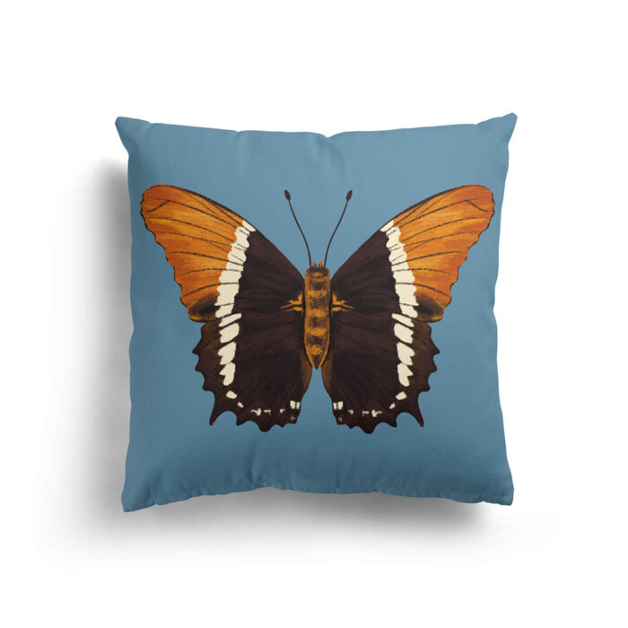 Butterfly Pillow Cases