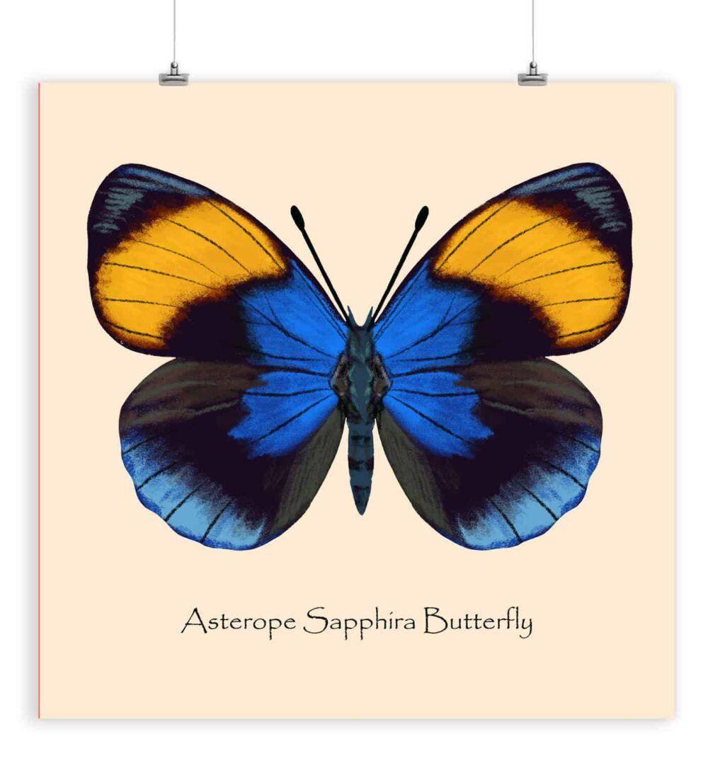 Butterfly Artwork for Nursery