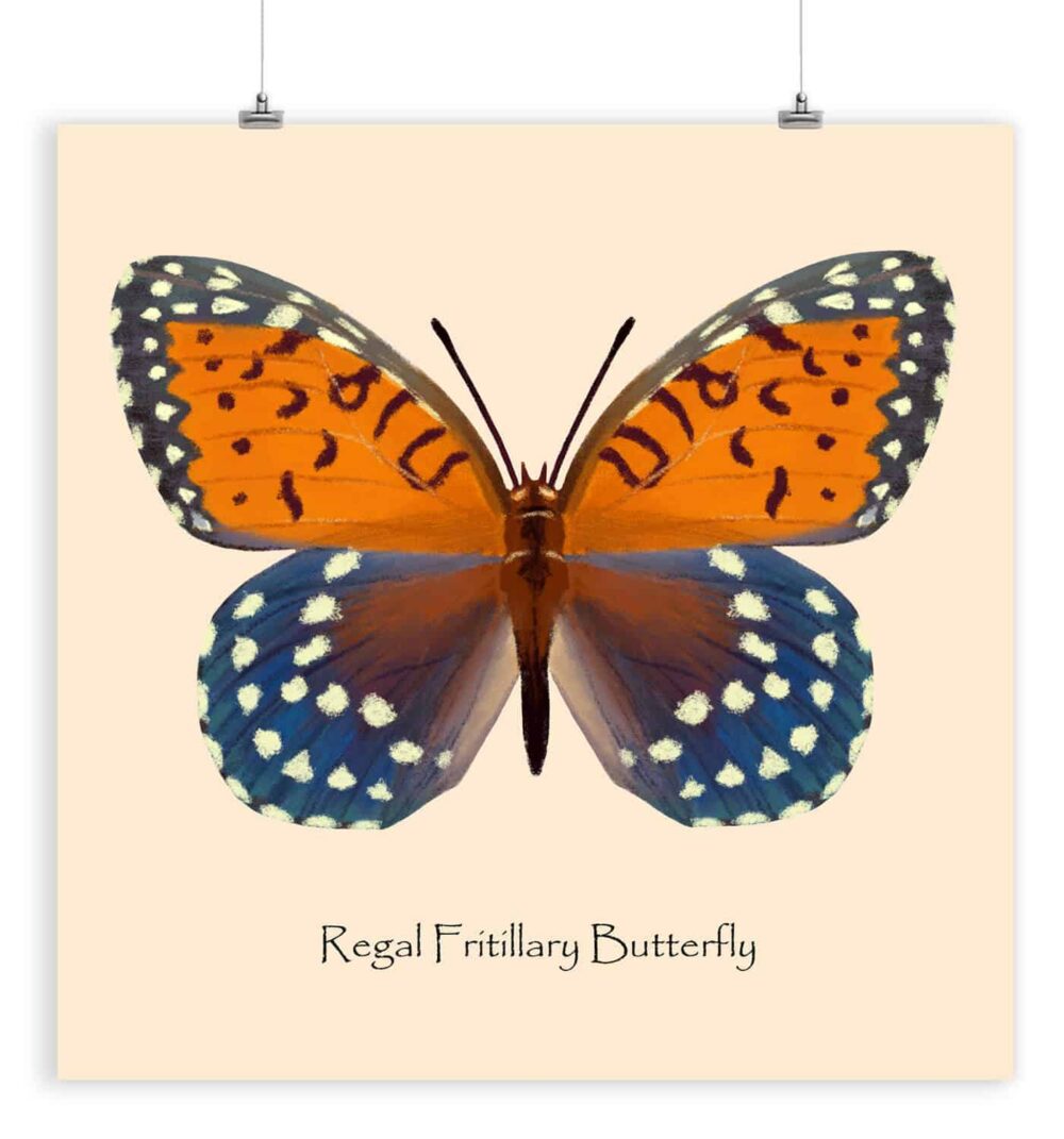 Butterfly Poster for Children Room