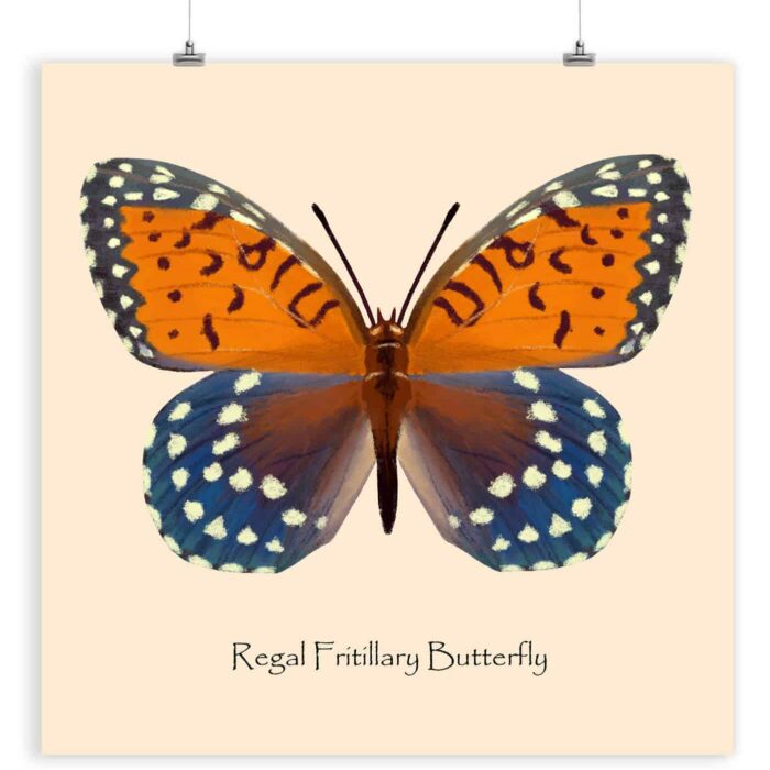 Butterfly Poster for Children Room