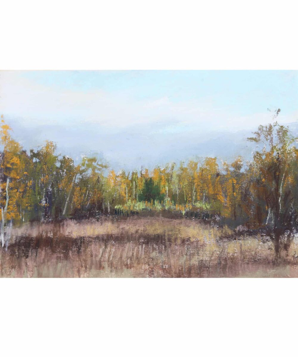 Fall Birch Forest Painting