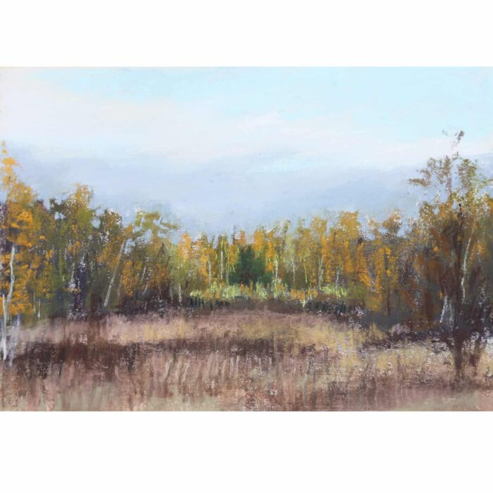 Fall Birch Forest Painting