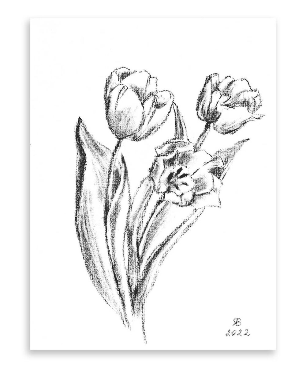 Tulip Bunch Charcoal Drawing