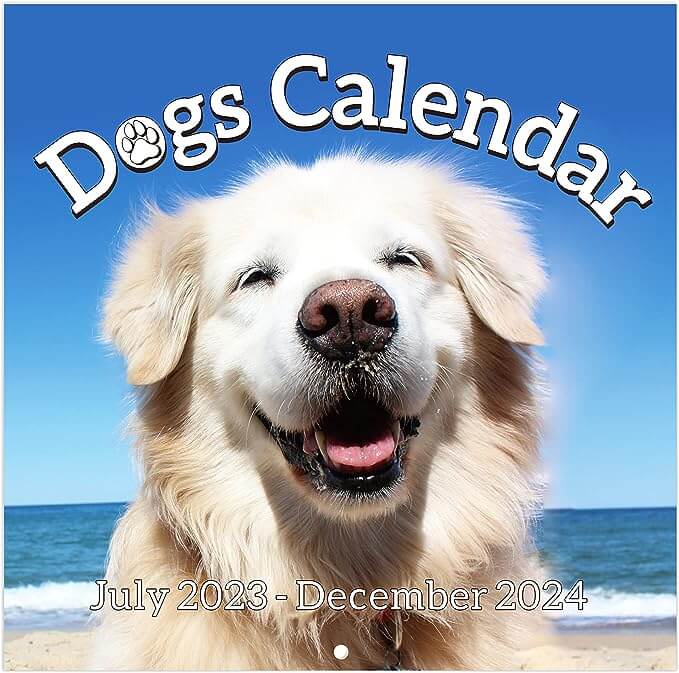 17-2023-2024 Wall Calendar - Calendar 2023-2024, Wall Calendar 2023-2024, Cutie Dogs Wall Calendar - blog