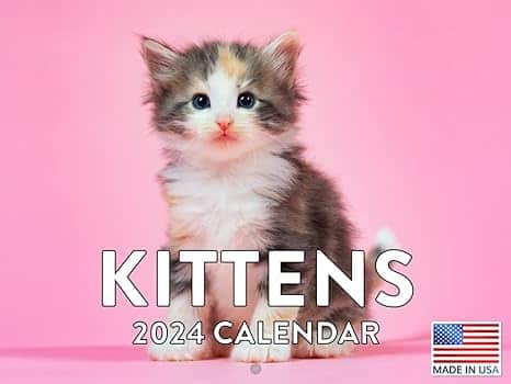 18-Kitten Calendar 2024 Cat Monthly Wall Calender Kitty - blog