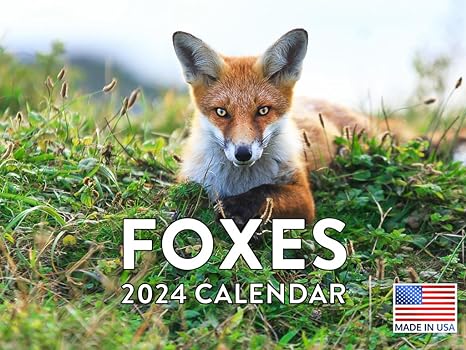 40-Fox Calendar 2024 - blog